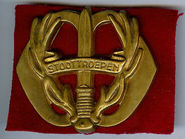 embleem stoottroepen